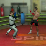 MMA kiképzés verekedős játék